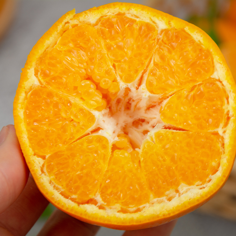 【春见耙耙柑】 轻松分瓣易剥皮，果粒晶莹剔透，一口爆珠口感，细嫩酸甜，黄金酸甜比