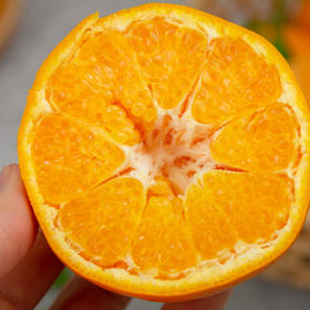 【春见耙耙柑】 轻松分瓣易剥皮，果粒晶莹剔透，一口爆珠口感，细嫩酸甜，黄金酸甜比