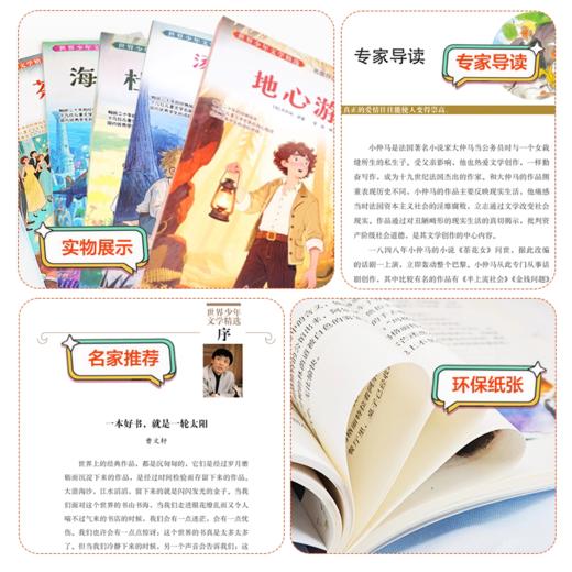 世界少年文学精选名家导读本简爱复活茶花女小妇人金银岛绿野仙踪雾都孤儿柳林风声一千零一夜地心游记杜立德医 商品图3