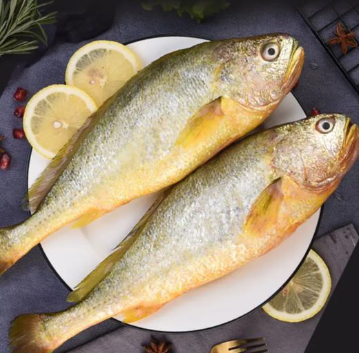 东山海鲜大礼包 鱼虾蟹三十多种不同美味海鲜 产地直发 顺丰发货【满3件包邮】 商品图3