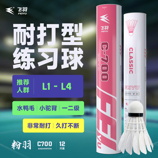 飞羽 羽毛球 训练级 优质鸭毛 粉羽-C700 商品图0