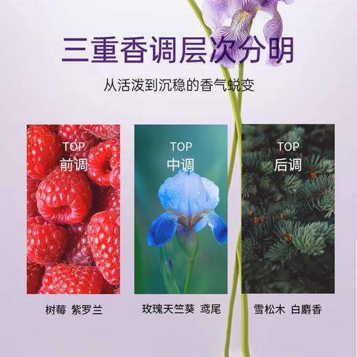 【保税仓】CHANEL香奈儿紫邂逅浓香水100ML  商品图2