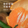 【即将收官】2026丑美阿柑生态耙耙柑 鲜果4.5斤装 九甜一酸自然成熟 预计3月中旬下架 商品缩略图4