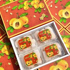 蒙自甜枇杷2.5斤礼盒装(单果25g+)  顺丰发货