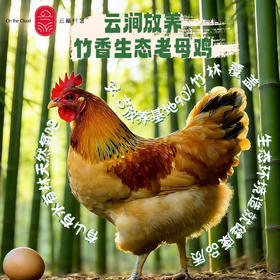 云巅村落-云涧放养竹香生态老母鸡（活鲜）