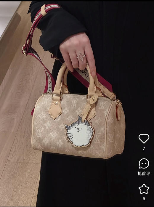 驴家 猫咪 Speedy 20  Bandoulière 手袋 M15151 （JPH） 商品图6