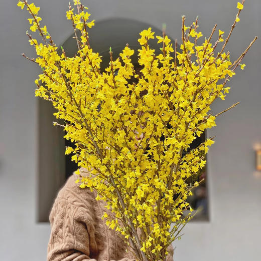 荷兰-寸寸金-10枝/扎 商品图0