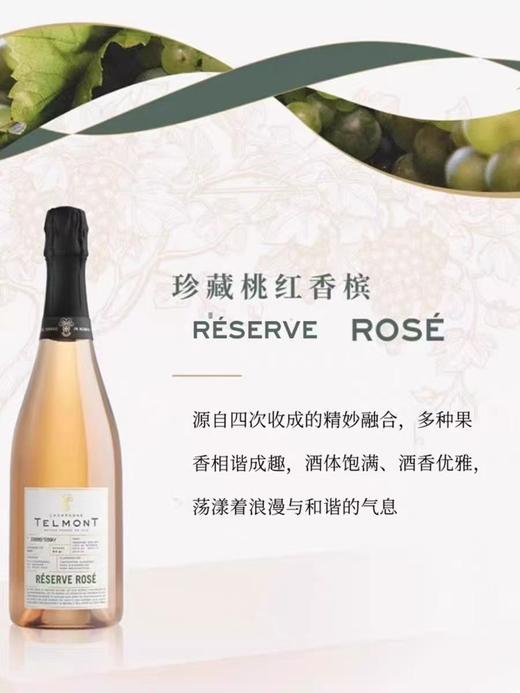 TELMONT玳慕法国甄选进口桃红香槟750ml高端葡萄酒 商品图1
