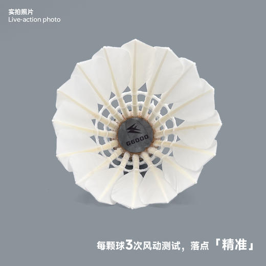 飞羽 羽毛球 比赛级 优质鸭毛 银羽-G6000 商品图4