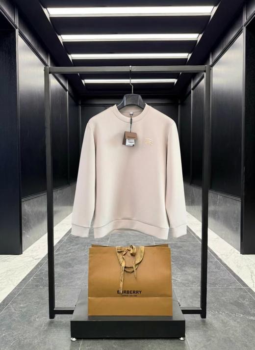 F012225胸前战马刺绣logo两色情侣款圆领卫衣 商品图8