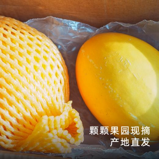 饱记黄金冰糖蜜瓜细嫩无渣海南小众蜜瓜 商品图4