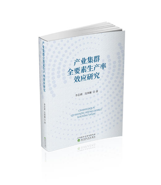 产业集群全要素生产率效应研究 商品图0