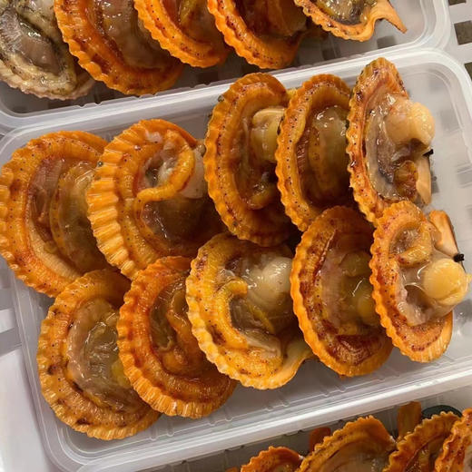 东山海鲜大礼包 鱼虾蟹三十多种不同美味海鲜 产地直发 顺丰发货【满3件包邮】 商品图14