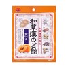 【BF】加藤天然草本糖果(杏仁味)51g 商品缩略图0