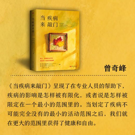 当疾病来敲门：病人、家属和治疗师是如何一起应对疾病的 商品图8