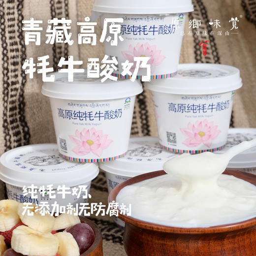 青藏高原牦牛酸奶（基地直发-顺丰快递） | 多种规格，来自青海同德县，生产者：岗仁梅朵【合作生产，公平贸易】 商品图0