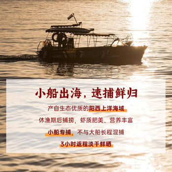 广晒高钙生晒虾皮100g 老广的味道儿童高钙食材低钠可打粉淡干虾皮 /粮油调味 /南北干货 /鱼虾贝藻类干货 商品图1