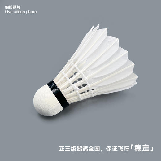 飞羽 羽毛球 比赛级 优质鸭毛 银羽-G6000 商品图2