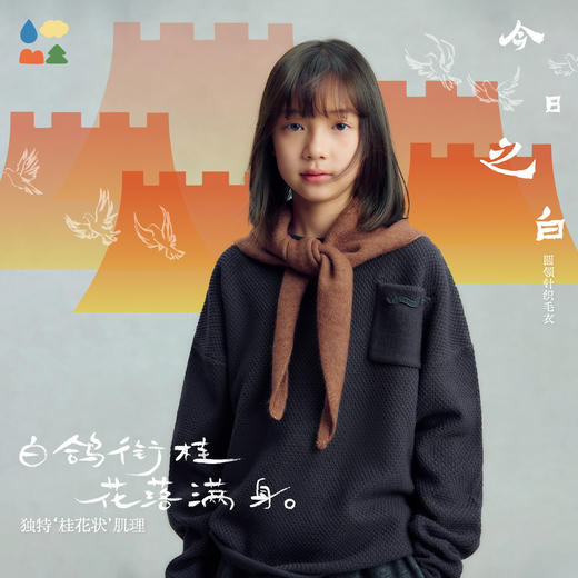 【今日之白系列】森林棠26新款羊毛混纺儿童柔软保暖圆领肌理毛衣60625305 商品图0