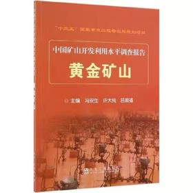 黄金矿山\冯安生  许大纯  吕振福