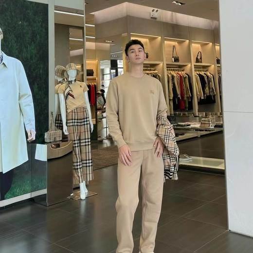 F012225胸前战马刺绣logo两色情侣款圆领卫衣 商品图6