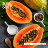 喜禾农场红心木瓜 5斤装2-3个 商品缩略图2