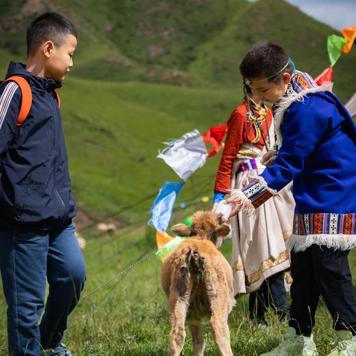 【暑假】避暑NO.1，从三星堆穿越甘南的三千年汉藏羌文明 7天6晚 商品图10