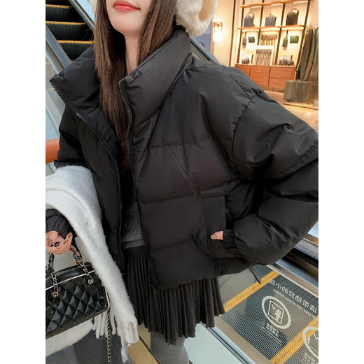 <曾小咸推荐>现货秒杀 ！微信超特价！美式复古短款立领羽绒服 日常449.99 立减160 秒杀289.99！！ 商品图3