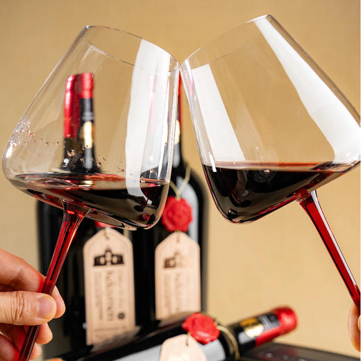 法国克莱曼·君尚干红葡萄酒 750ml*6瓶 采用西拉和歌海娜葡萄酿制 尼姆产区 口感醇厚 果香浓郁 AOP级 商品图3