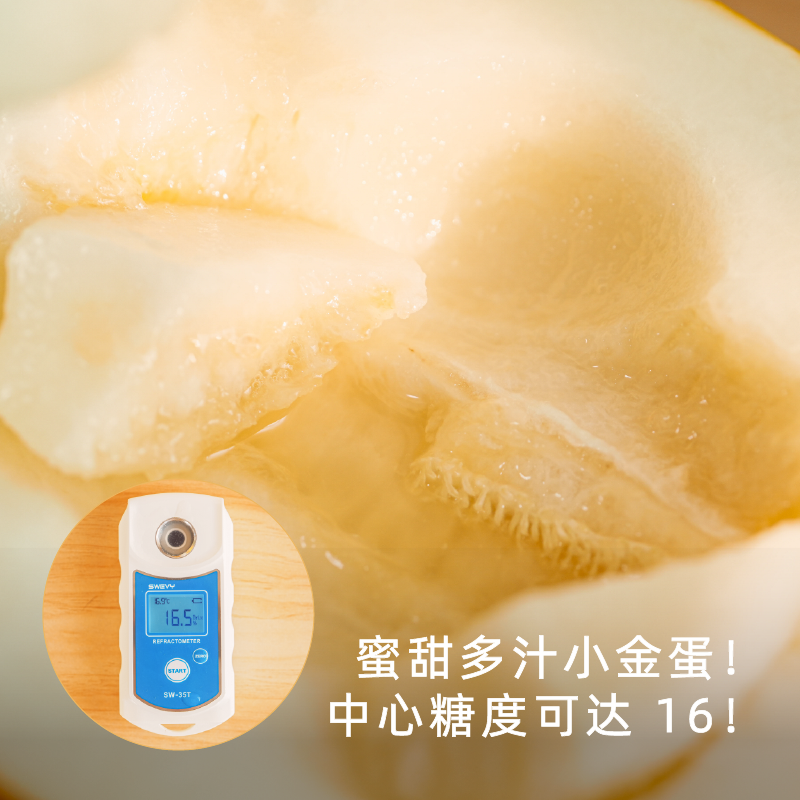 饱记黄金冰糖蜜瓜细嫩无渣海南小众蜜瓜