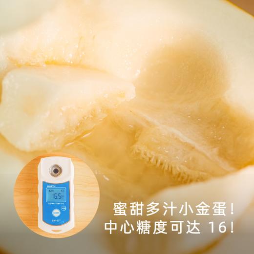 饱记黄金冰糖蜜瓜细嫩无渣海南小众蜜瓜 商品图0