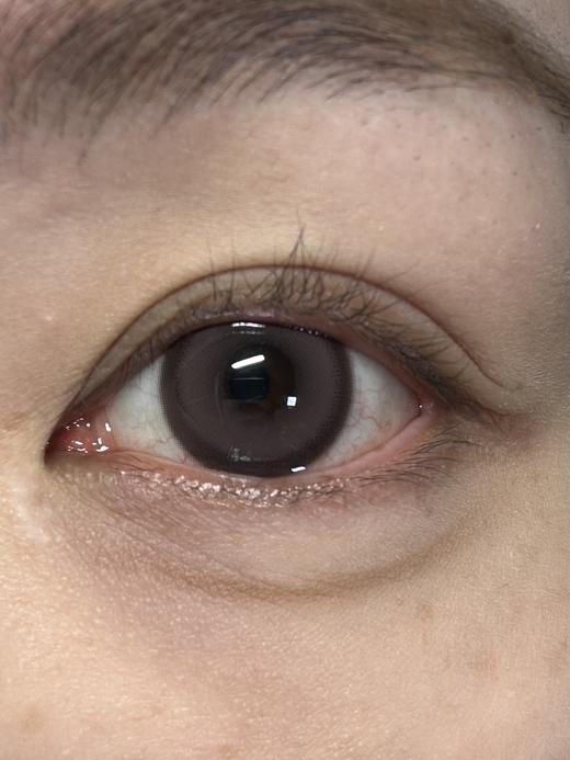 kaylens半年抛 玫瑰糖糕 粉/松果蛋挞 棕 14.5mm 着色14.0 商品图7