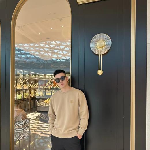 F012225胸前战马刺绣logo两色情侣款圆领卫衣 商品图5