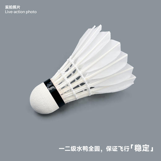 飞羽 羽毛球 比赛级 优质鸭毛 蓝羽-G5000 商品图5