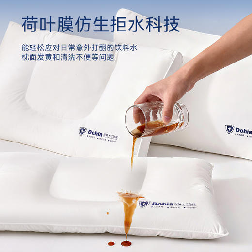 多喜爱 全棉A类三防护颈枕高/中/低【防水 防油 防污】【多方位承托 助力好眠】 商品图1