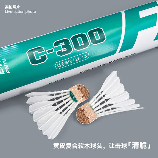 飞羽 羽毛球 训练级 优质鸭毛 绿羽-C300 商品图3