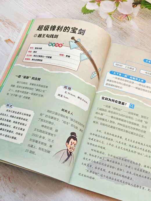 大国宝 小百科 思维导图式解析约100个国宝 1000+知识点串联国宝前世今生 电子工业出版社 商品图5