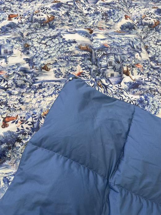 ⁴ 再也不怕冷【鹅绒子母被】两床一套 可机轻柔洗 又轻又暖让老人孩子在冬天睡个好觉 BX2272-YC04-QH 商品图5