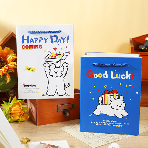 快乐加倍礼品袋S礼袋-纪念日百货门店同款167193799 商品图1