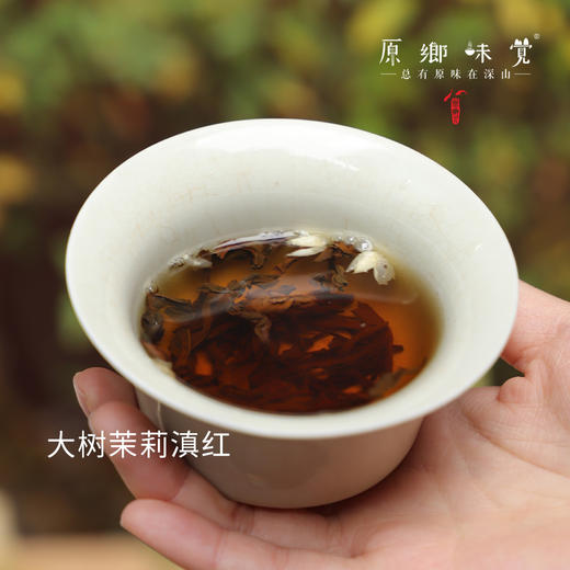 雨林生态茶/茶叶-滇红/红茶/茉莉滇红（成都仓库-顺丰快递)  | 多种规格，来自云南普洱，生产者：张雄【合作生产，公平贸易】 商品图1