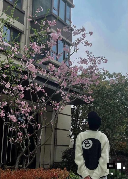 D012265后背台球黑八提花情侣圆领针织毛衣 商品图7