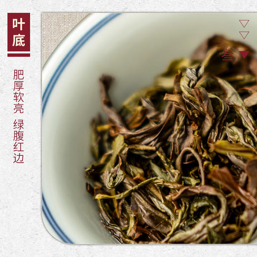 【山纯限品】2025年单丛系列033青竹丝25g 商品图4