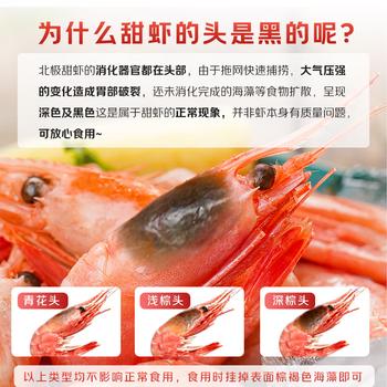 鲜生说 大号头籽北极甜虾净重3斤 120-150只/盒解冻即食 原料产地格陵兰 商品图4