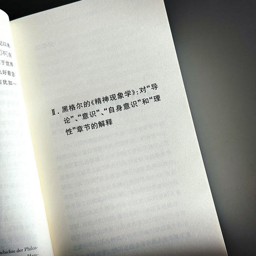 黑格尔《精神现象学》的现象学阐释 快与慢文丛 精装 商品图9