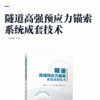 隧道高强预应力锚索系统成套技术 商品缩略图2