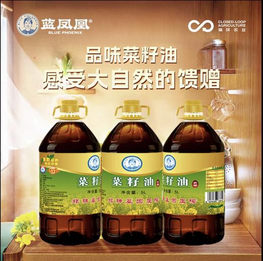 压榨二级菜籽油  5L【LFH】 商品图2