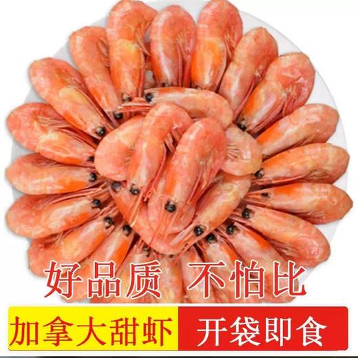 北极虾 商品图0