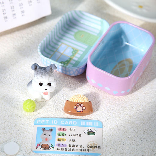 领养一只狗狗惊喜惊喜盒-纪念日百货门店同款167101621 商品图0