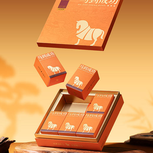 八马茶业｜马到成功★★★·安化黑茶·茯茶240g 商品图3