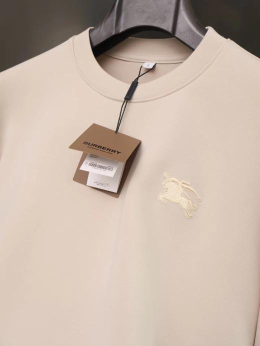 F012225胸前战马刺绣logo两色情侣款圆领卫衣 商品图12